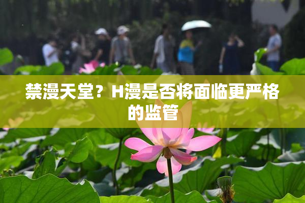 禁漫天堂？H漫是否将面临更严格的监管