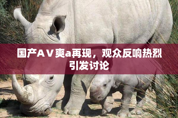 国产AⅤ爽a再现，观众反响热烈引发讨论