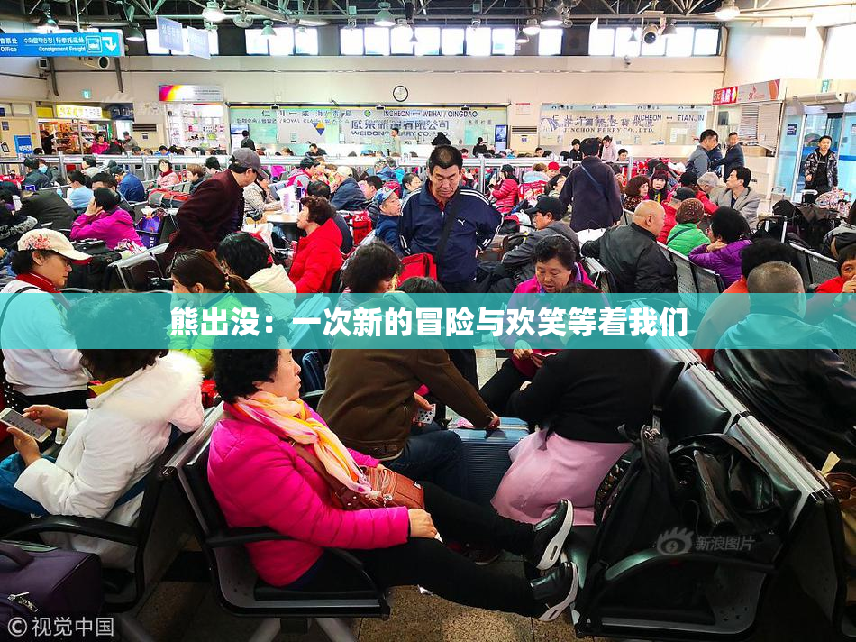 熊出没：一次新的冒险与欢笑等着我们