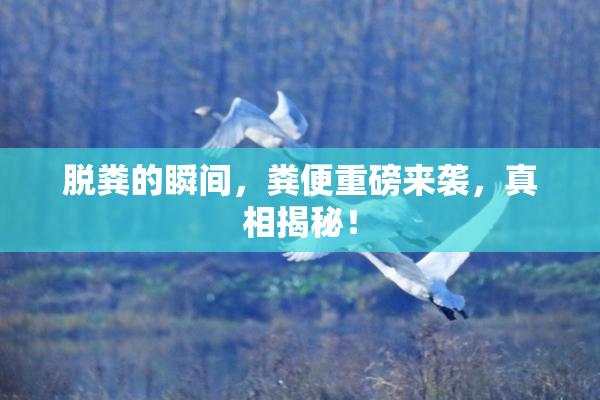 脱粪的瞬间，粪便重磅来袭，真相揭秘！