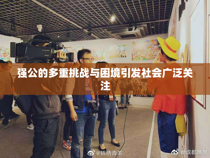 强公的多重挑战与困境引发社会广泛关注