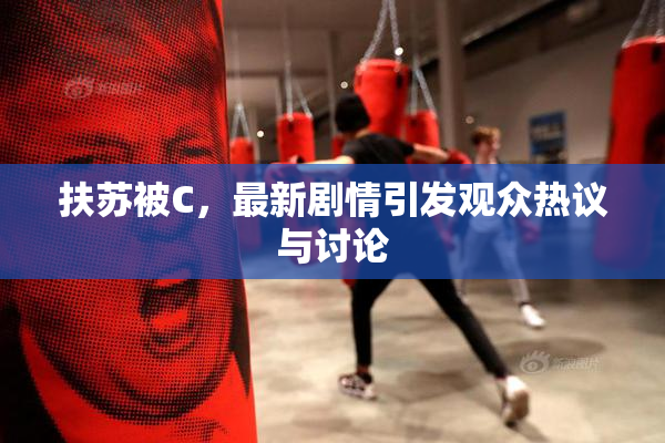 扶苏被C，最新剧情引发观众热议与讨论