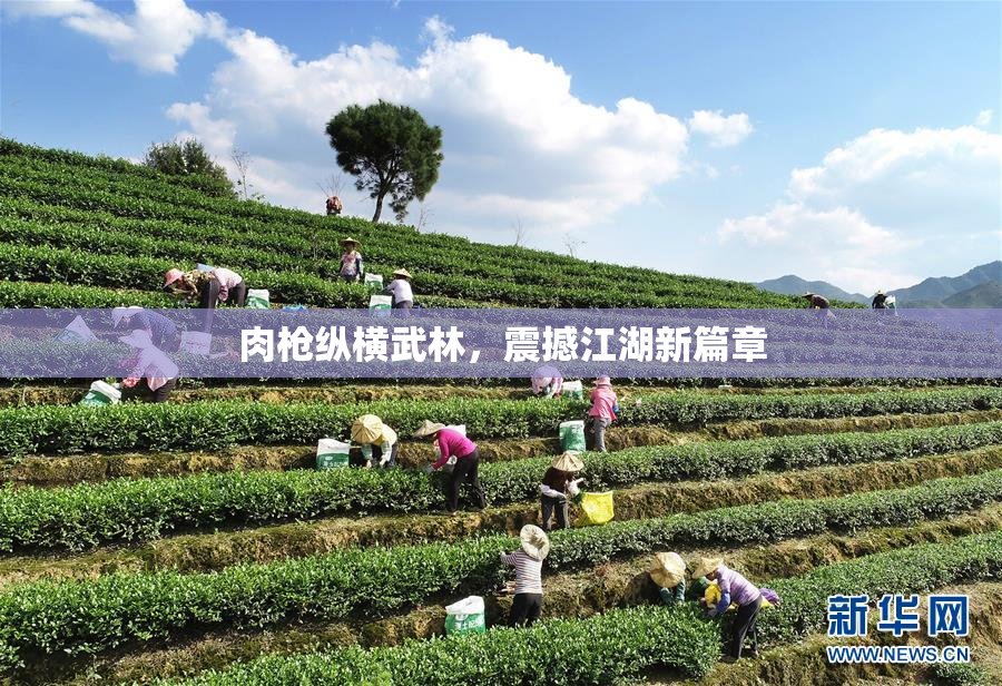 肉枪纵横武林，震撼江湖新篇章