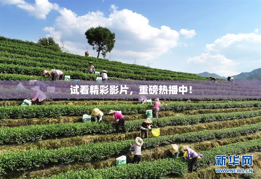试看精彩影片，重磅热播中！