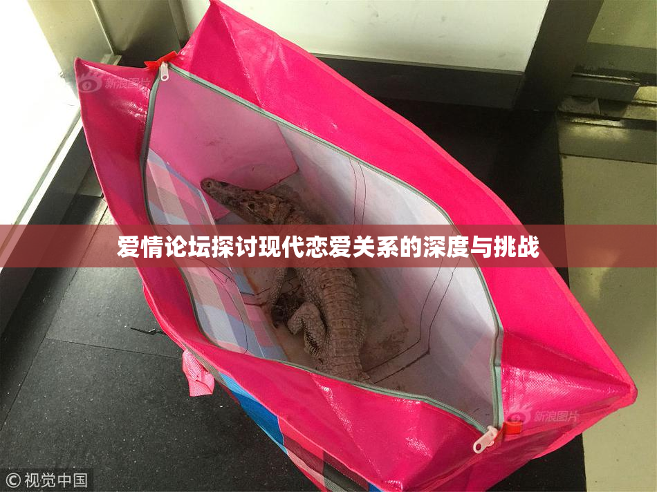 爱情论坛探讨现代恋爱关系的深度与挑战