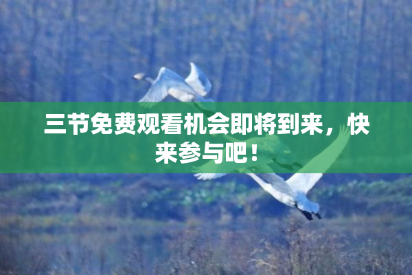 三节免费观看机会即将到来，快来参与吧！