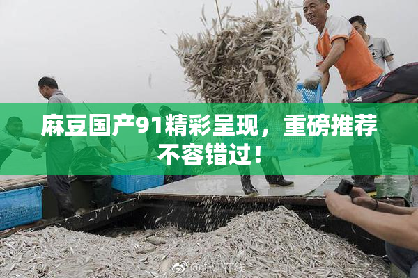 麻豆国产91精彩呈现，重磅推荐不容错过！