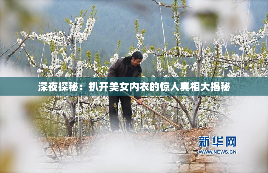 深夜探秘：扒开美女内衣的惊人真相大揭秘