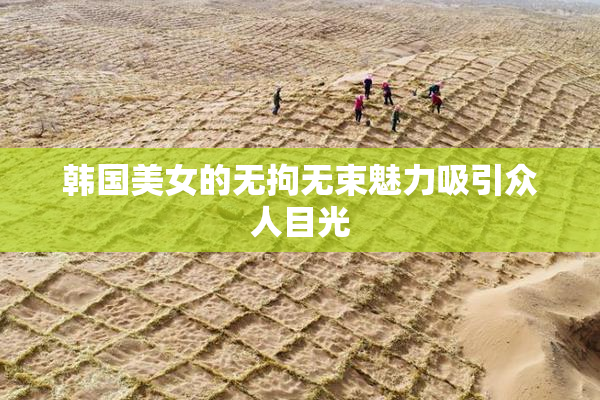 韩国美女的无拘无束魅力吸引众人目光