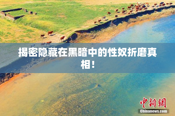 揭密隐藏在黑暗中的性奴折磨真相！