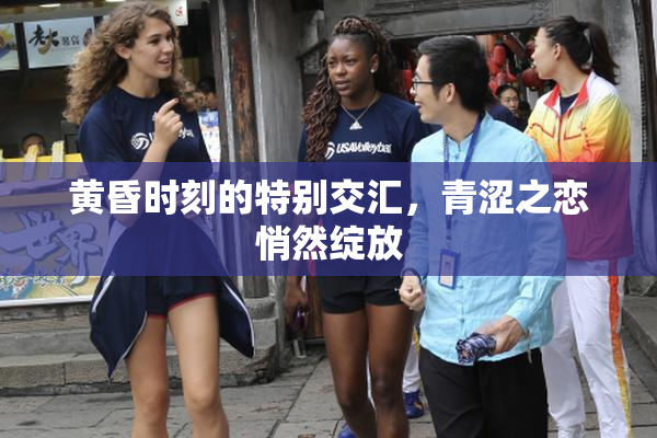 黄昏时刻的特别交汇，青涩之恋悄然绽放