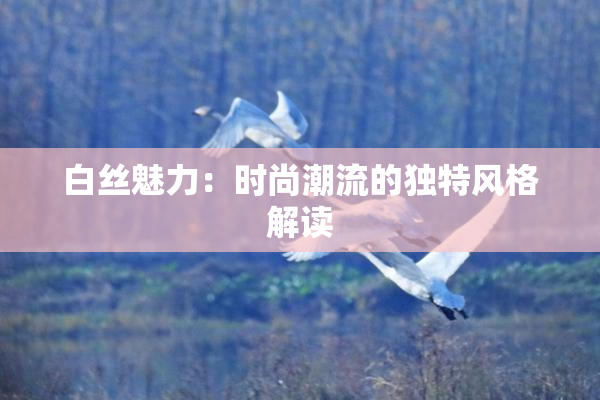白丝魅力：时尚潮流的独特风格解读