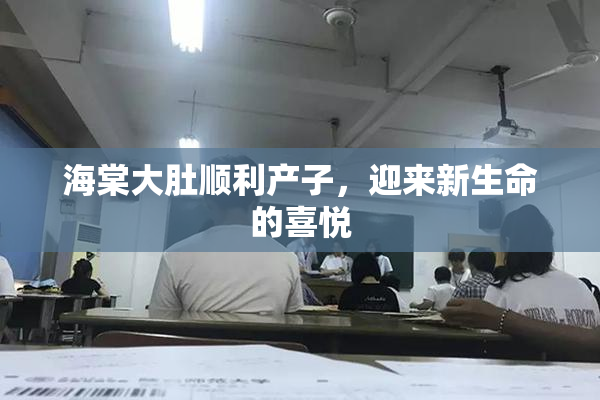 海棠大肚顺利产子，迎来新生命的喜悦