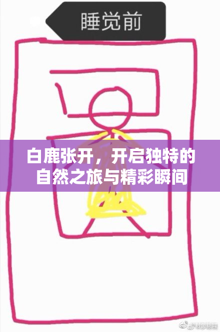 白鹿张开，开启独特的自然之旅与精彩瞬间
