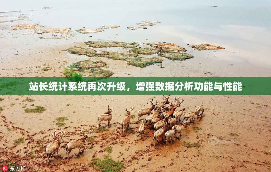 站长统计系统再次升级，增强数据分析功能与性能