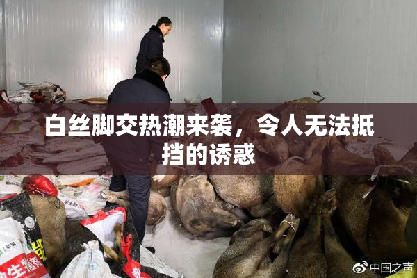 白丝脚交热潮来袭，令人无法抵挡的诱惑