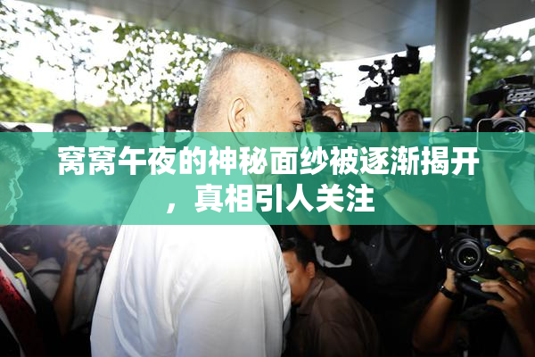 窝窝午夜的神秘面纱被逐渐揭开，真相引人关注