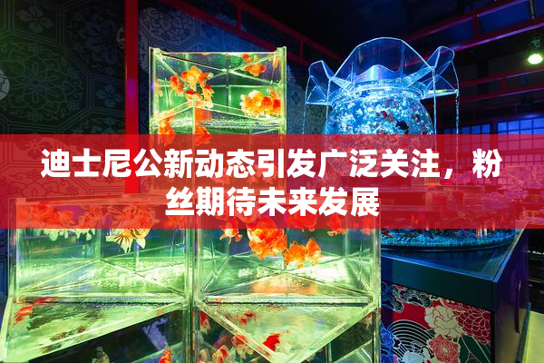 迪士尼公新动态引发广泛关注，粉丝期待未来发展