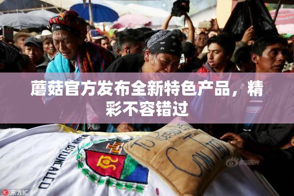 蘑菇官方发布全新特色产品，精彩不容错过