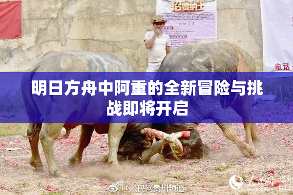 明日方舟中阿重的全新冒险与挑战即将开启