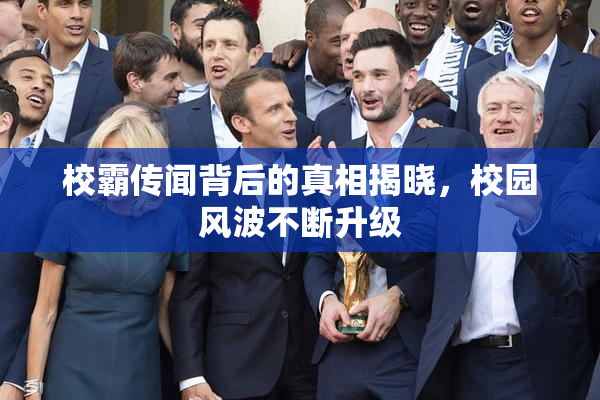 校霸传闻背后的真相揭晓，校园风波不断升级