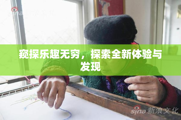 窥探乐趣无穷，探索全新体验与发现