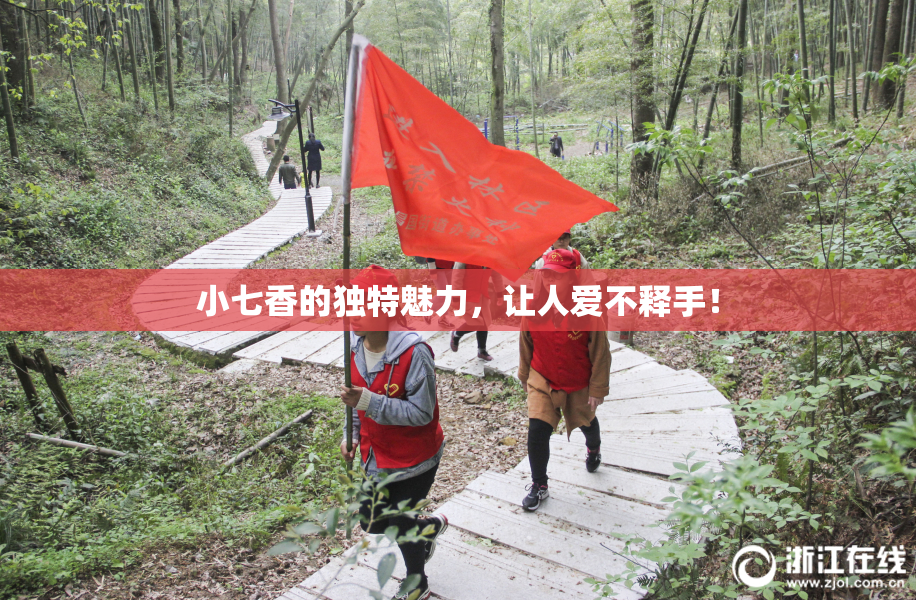 小七香的独特魅力，让人爱不释手！