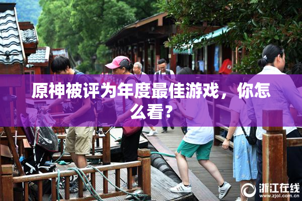 原神被评为年度最佳游戏，你怎么看？