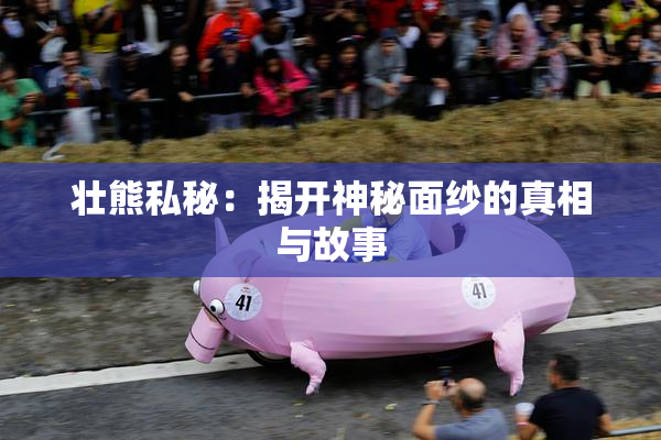 壮熊私秘：揭开神秘面纱的真相与故事