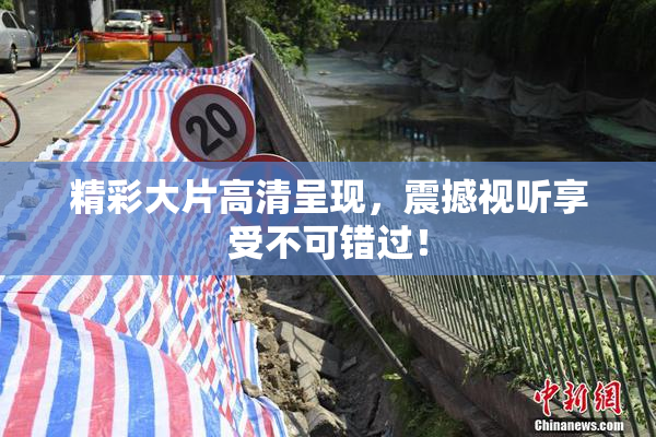 精彩大片高清呈现，震撼视听享受不可错过！