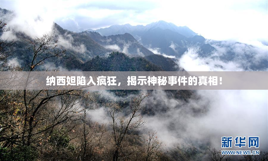 纳西妲陷入疯狂，揭示神秘事件的真相！