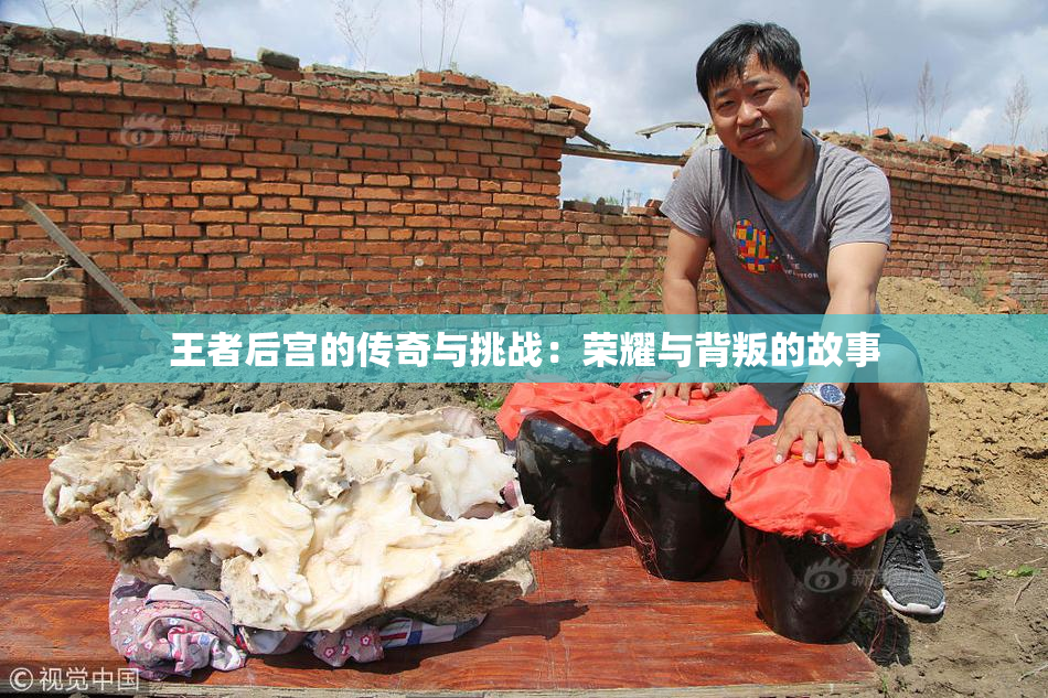 王者后宫的传奇与挑战：荣耀与背叛的故事