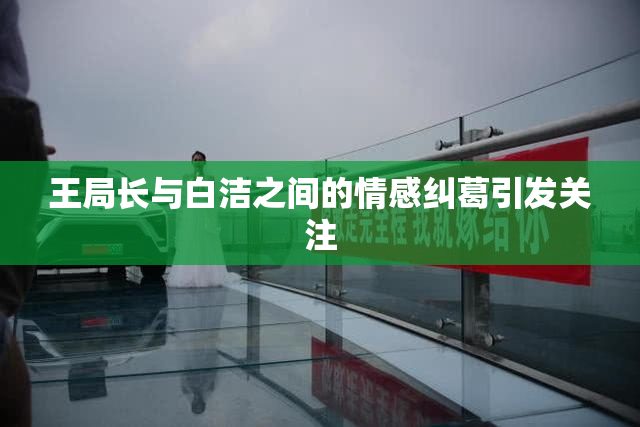 王局长与白洁之间的情感纠葛引发关注