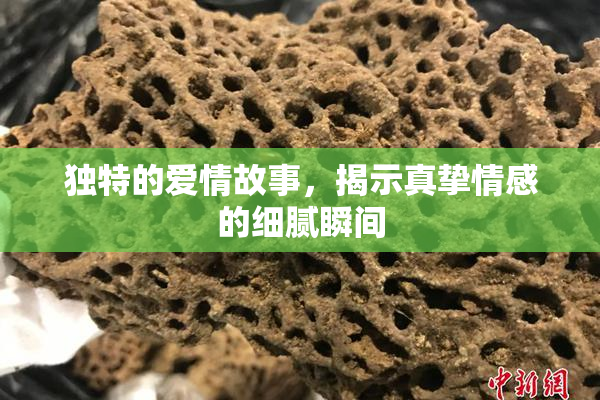 独特的爱情故事，揭示真挚情感的细腻瞬间