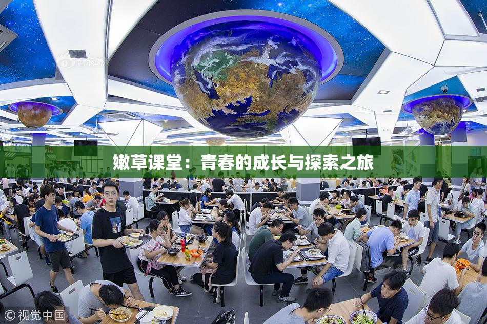 嫩草课堂：青春的成长与探索之旅