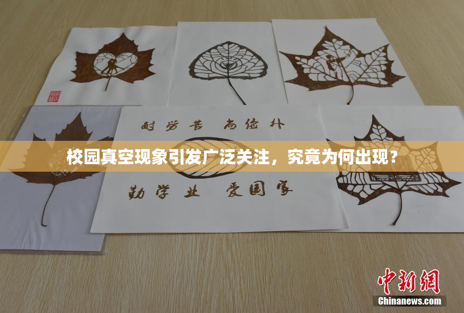 校园真空现象引发广泛关注，究竟为何出现？