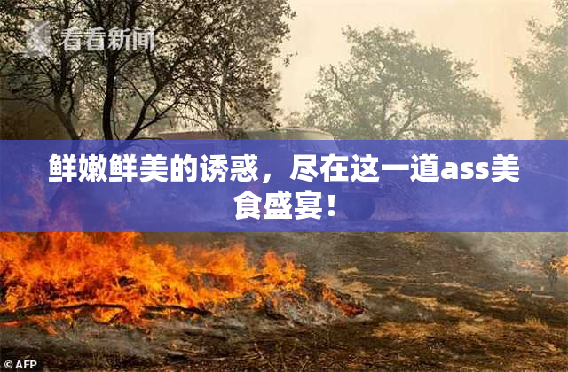 鲜嫩鲜美的诱惑，尽在这一道ass美食盛宴！