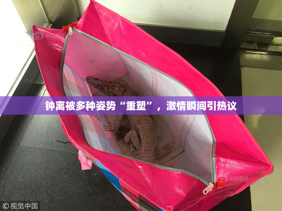 钟离被多种姿势“重塑”，激情瞬间引热议
