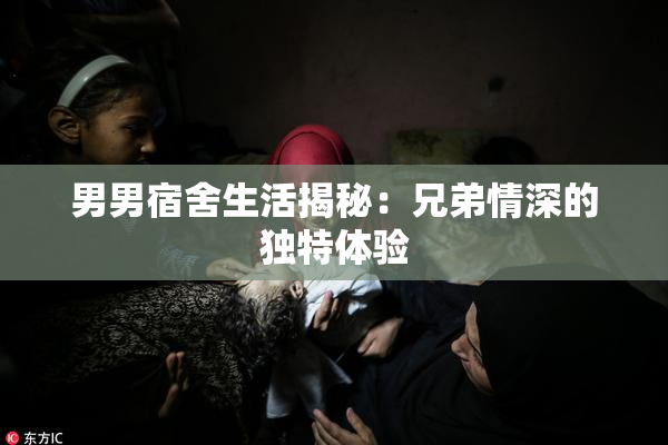 男男宿舍生活揭秘：兄弟情深的独特体验