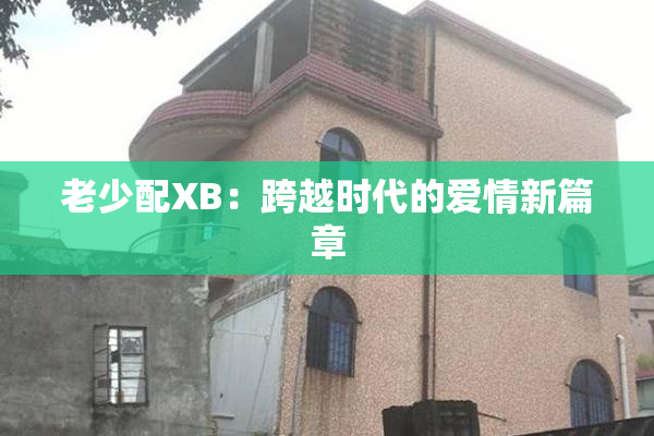 老少配XB：跨越时代的爱情新篇章