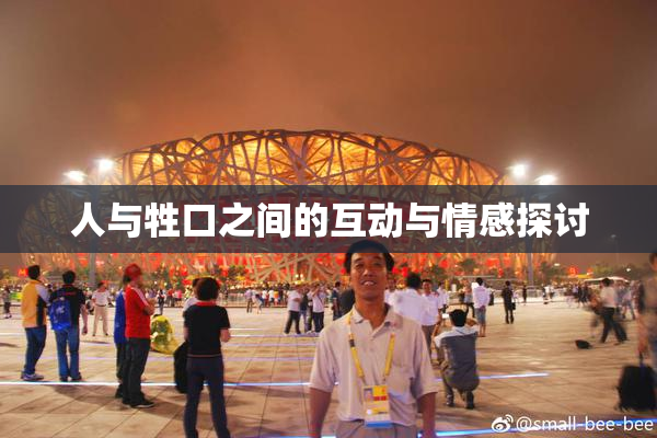 人与牲口之间的互动与情感探讨