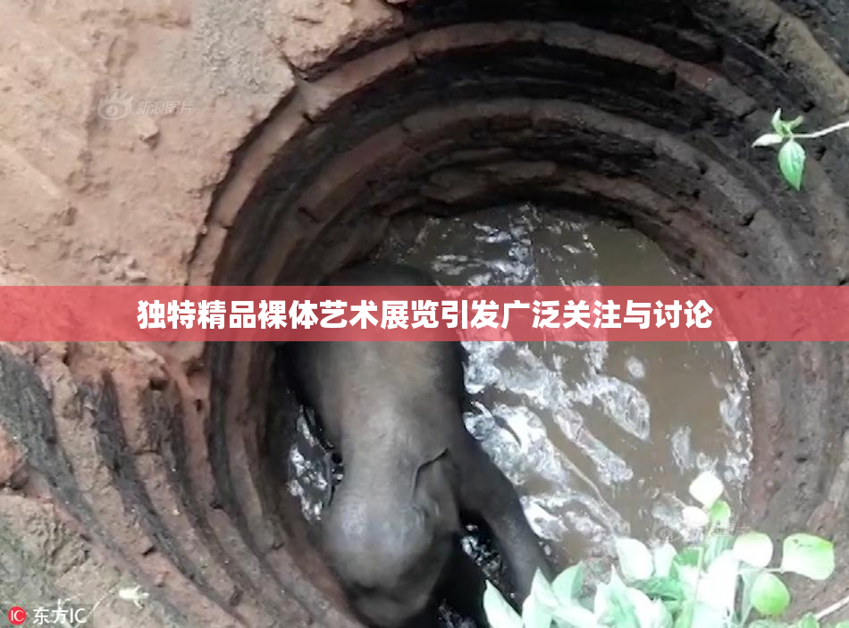 独特精品裸体艺术展览引发广泛关注与讨论