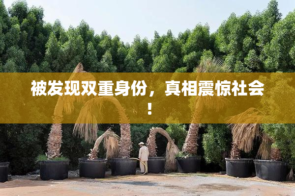 被发现双重身份，真相震惊社会！