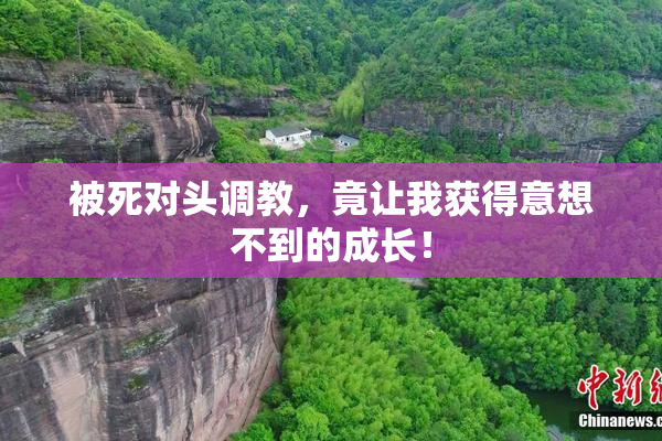被死对头调教，竟让我获得意想不到的成长！