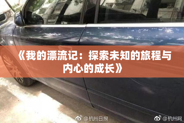《我的漂流记：探索未知的旅程与内心的成长》
