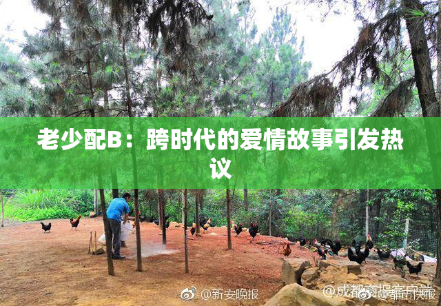 老少配B：跨时代的爱情故事引发热议