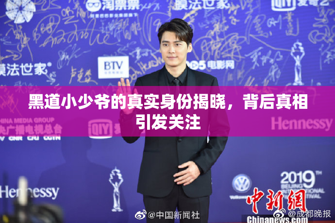 黑道小少爷的真实身份揭晓，背后真相引发关注