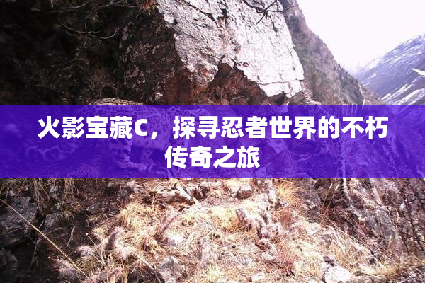 火影宝藏C，探寻忍者世界的不朽传奇之旅
