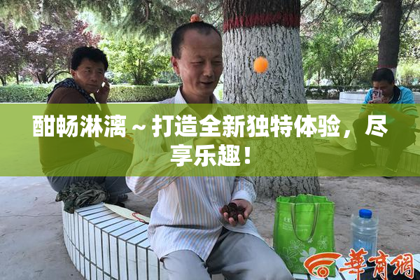酣畅淋漓～打造全新独特体验，尽享乐趣！