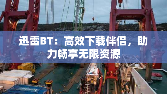 迅雷BT：高效下载伴侣，助力畅享无限资源